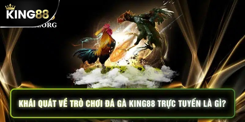 Đá gà King88 là điểm hẹn chất lượng cho sư kê